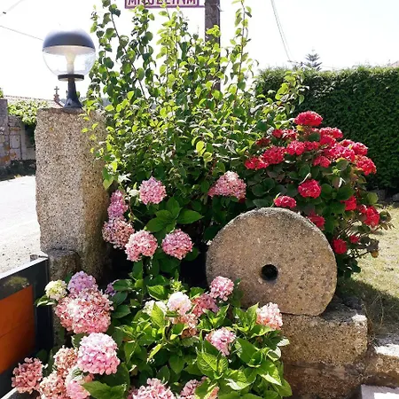 Casa Angelina Gæstehus