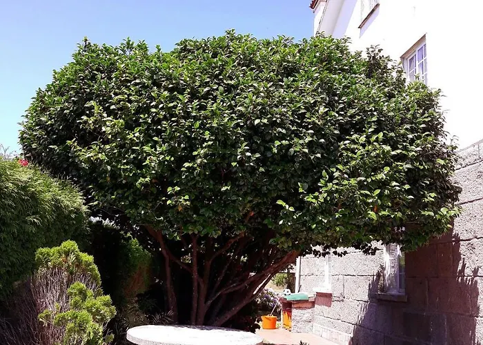 Casa Angelina Konukevi O Grove