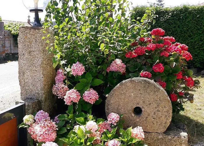 Casa Angelina Konukevi